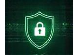 Enterprise network security shield